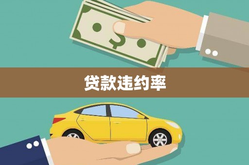 武安贷款违约率