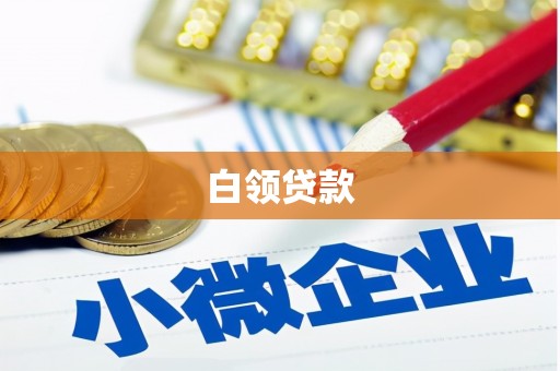 武安白领贷款