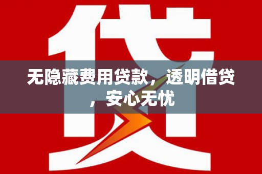 武安无隐藏费用贷款，透明借贷，安心无忧