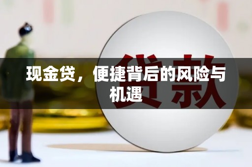 武安现金贷，便捷背后的风险与机遇