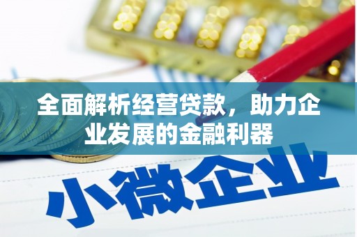 武安全面解析经营贷款，助力企业发展的金融利器