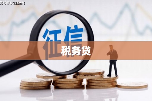 武安税务贷
