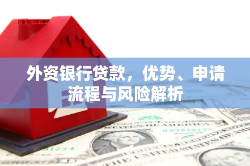 武安外资银行贷款，优势、申请流程与风险解析
