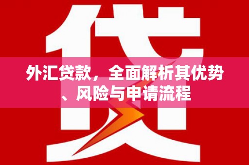 武安外汇贷款，全面解析其优势、风险与申请流程