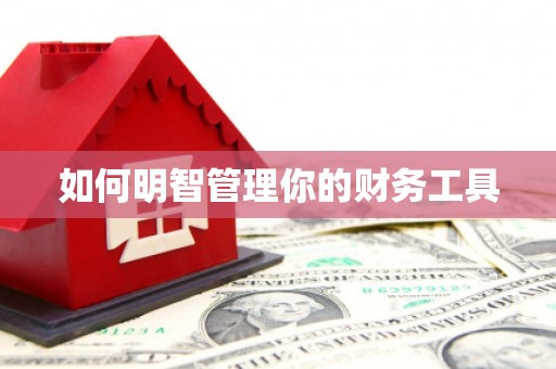 武安如何明智管理你的财务工具