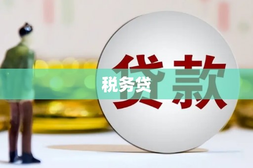 武安税务贷