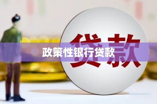 武安政策性银行贷款