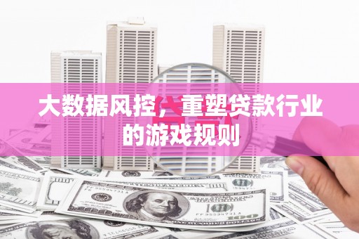 武安大数据风控，重塑贷款行业的游戏规则