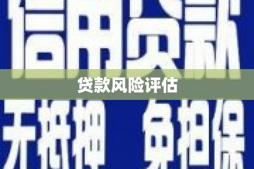 武安贷款风险评估