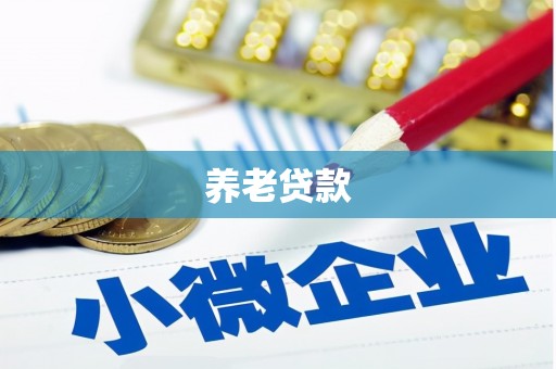 武安养老贷款
