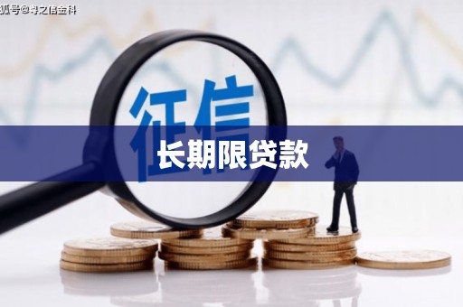 武安长期限贷款