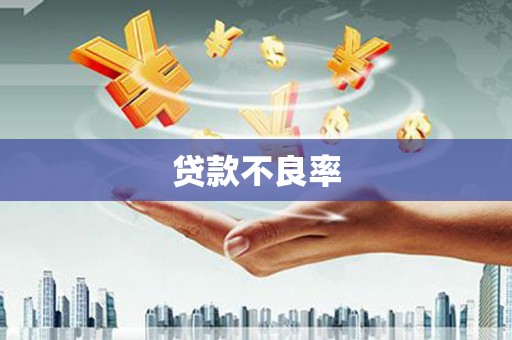武安贷款不良率