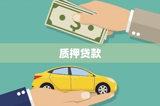 武安质押贷款