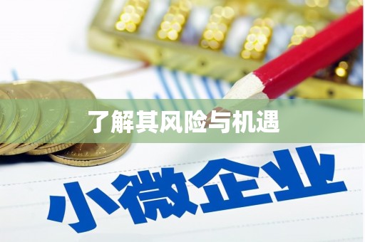 武安了解其风险与机遇