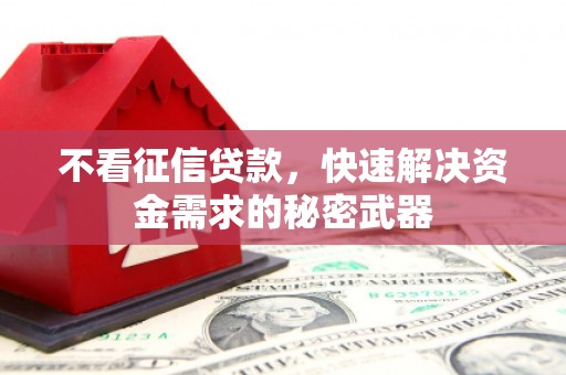 武安不看征信贷款，快速解决资金需求的秘密武器