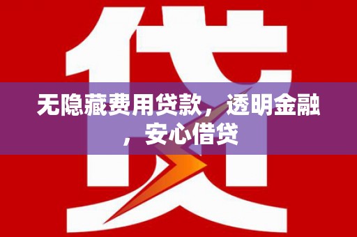 武安无隐藏费用贷款，透明金融，安心借贷