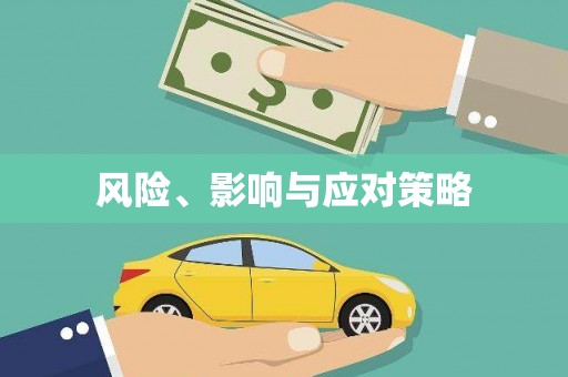 武安风险、影响与应对策略