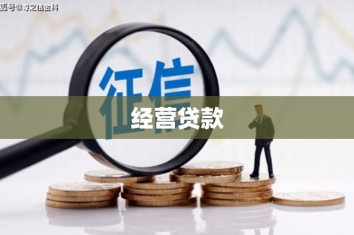 武安经营贷款