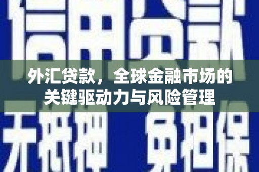 武安外汇贷款，全球金融市场的关键驱动力与风险管理