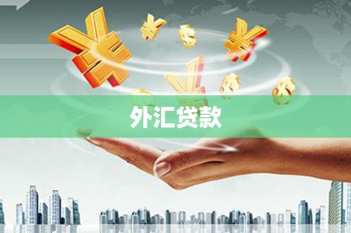 武安外汇贷款