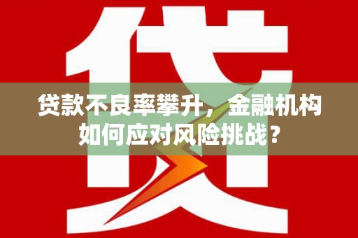 武安贷款不良率攀升，金融机构如何应对风险挑战？