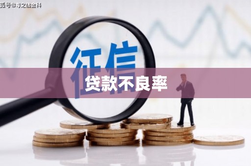 武安贷款不良率