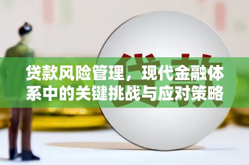 武安贷款风险管理，现代金融体系中的关键挑战与应对策略