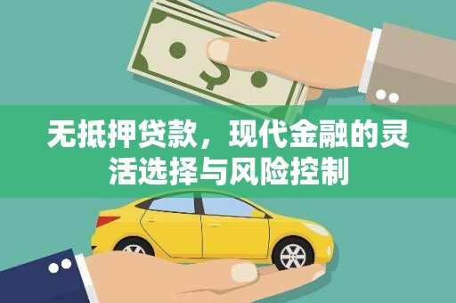 武安无抵押贷款，现代金融的灵活选择与风险控制