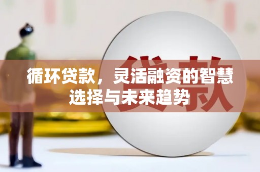 武安循环贷款，灵活融资的智慧选择与未来趋势