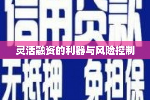 武安灵活融资的利器与风险控制