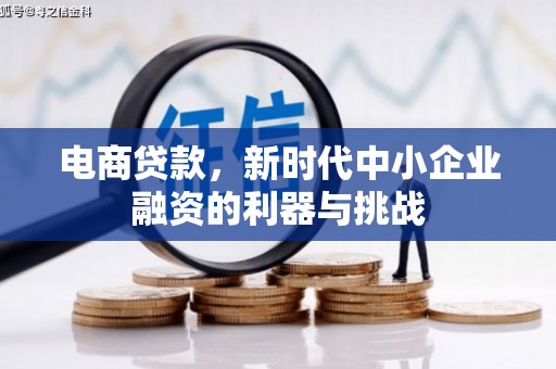 武安电商贷款，新时代中小企业融资的利器与挑战