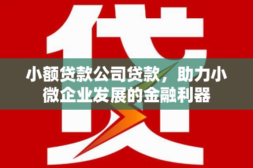 武安小额贷款公司贷款，助力小微企业发展的金融利器