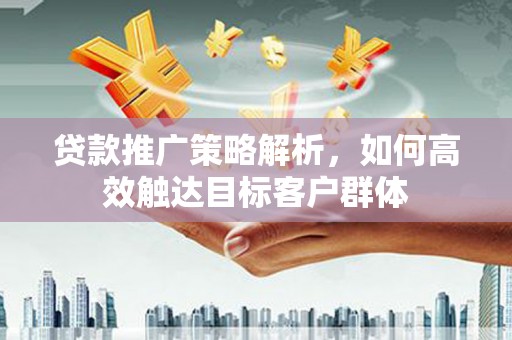 武安贷款推广策略解析，如何高效触达目标客户群体