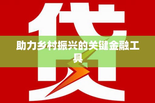 武安助力乡村振兴的关键金融工具