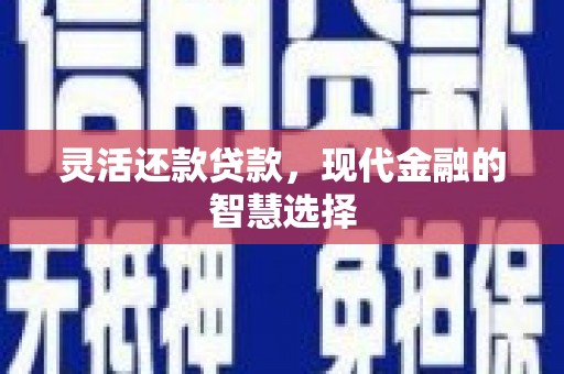 武安灵活还款贷款，现代金融的智慧选择