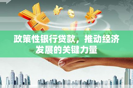 武安政策性银行贷款，推动经济发展的关键力量