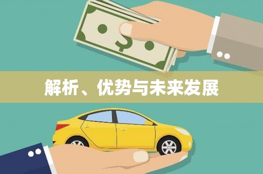 武安解析、优势与未来发展
