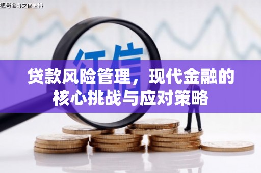 武安贷款风险管理，现代金融的核心挑战与应对策略