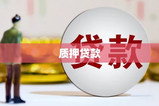 武安质押贷款