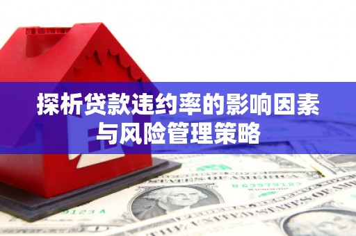 武安探析贷款违约率的影响因素与风险管理策略