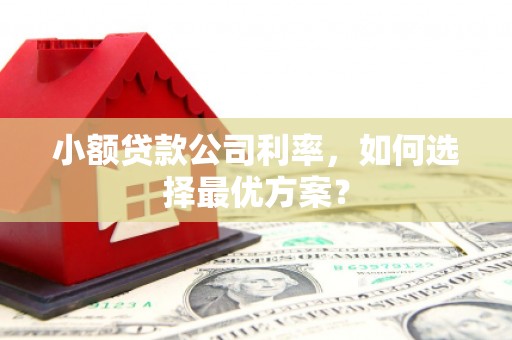 武安小额贷款公司利率，如何选择最优方案？