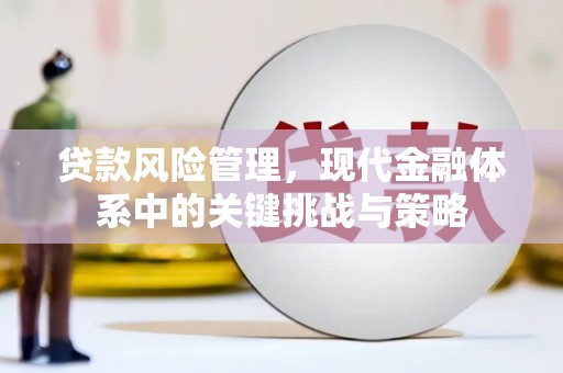 武安贷款风险管理，现代金融体系中的关键挑战与策略