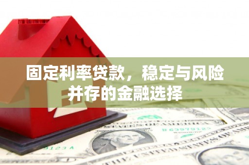 武安固定利率贷款，稳定与风险并存的金融选择