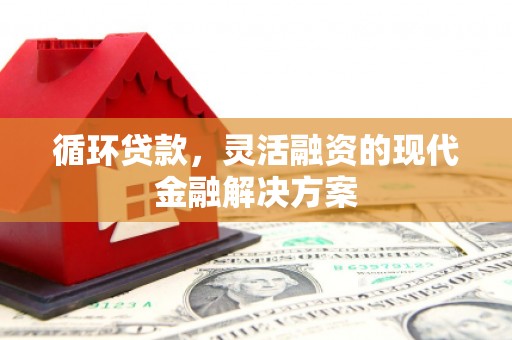 武安循环贷款，灵活融资的现代金融解决方案