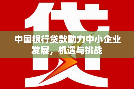 武安中国银行贷款助力中小企业发展，机遇与挑战