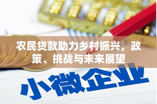 武安农民贷款助力乡村振兴，政策、挑战与未来展望