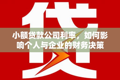 武安小额贷款公司利率，如何影响个人与企业的财务决策