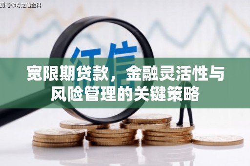 武安宽限期贷款，金融灵活性与风险管理的关键策略