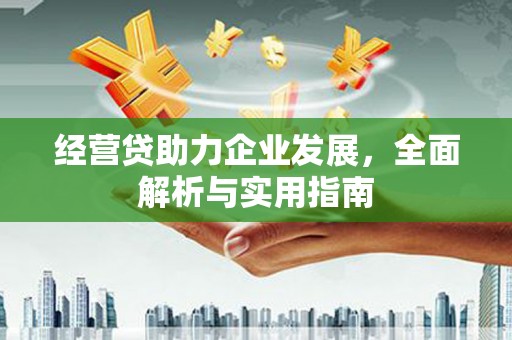 武安经营贷助力企业发展，全面解析与实用指南