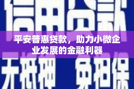 武安平安普惠贷款，助力小微企业发展的金融利器